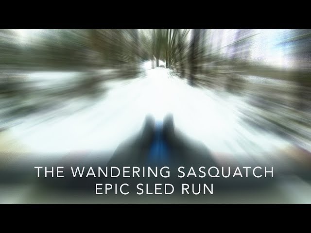 Wondering Sasquatch- Our Epic Sled Run