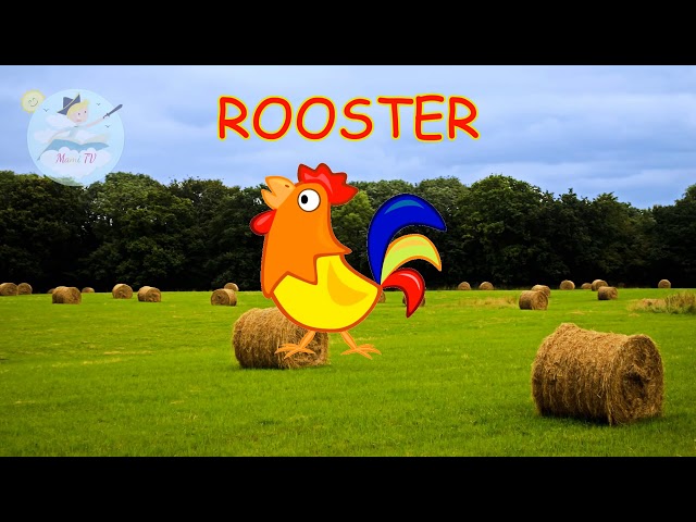 Funny Farm Animals for Children | Learn Animal Names and Sounds