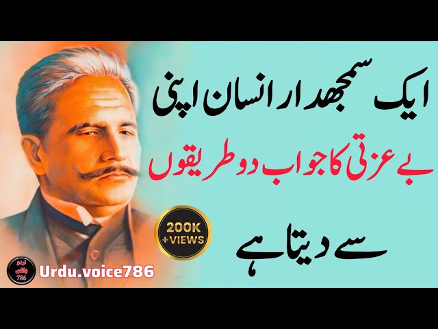 How To  Person Respond An Insulting |  And Relationship Allama Iqbal Life Quotes