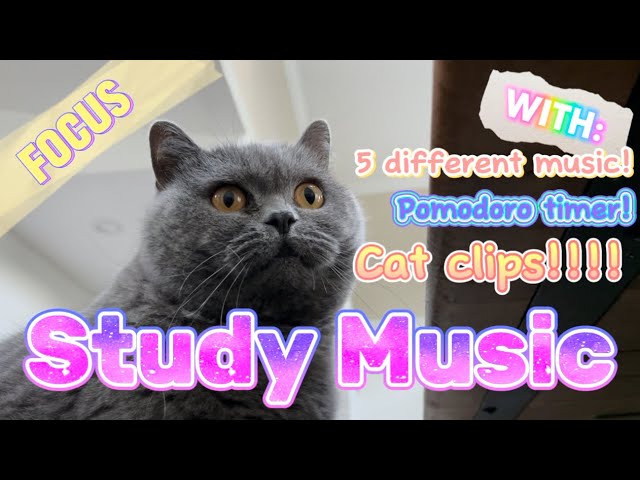 Study Music | CAT CLIPS | 25/5 Pomodoro Timer