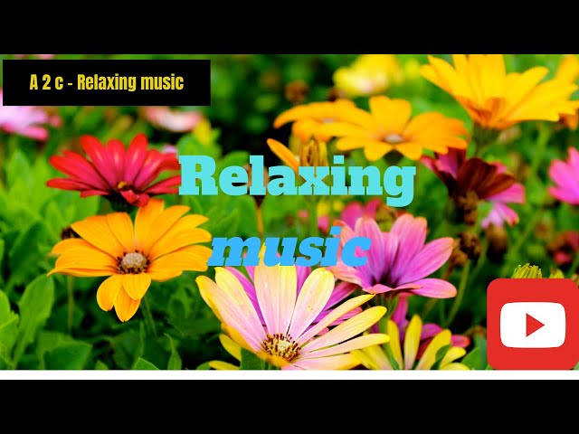 Relaxing Music for stressful days