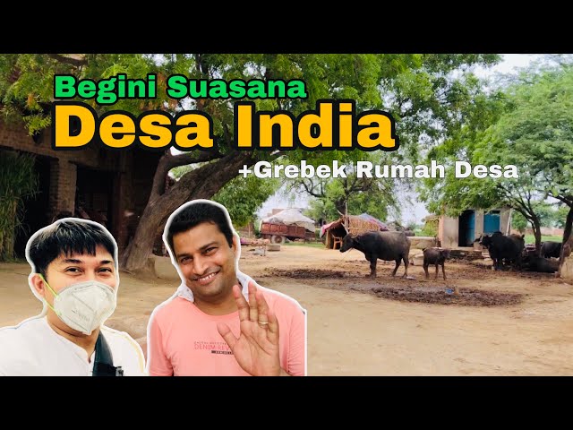 Suasana Kehidupan Desa India || Di Desa Mewat, Hindu dilayani Makan Muslim || Jalan jalan ke INDIA