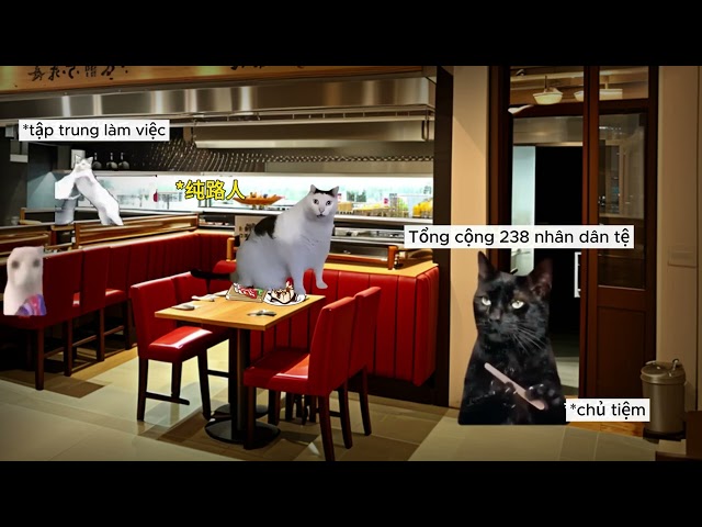 ĐI ĂN CHỰC VÀ CÁI KẾT - MEME MÈO HÀI HƯỚC #memes #vuinhon #funny #cat #meme #xuhuong #viralvideo