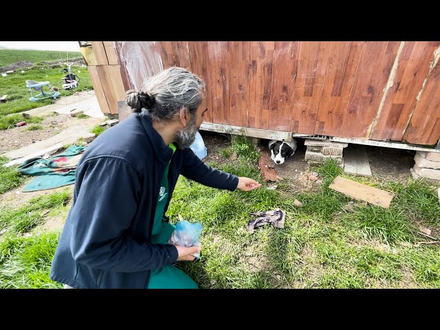 Bringing veterinary care to the animals of Pata Rat, Romania