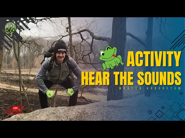 Morton Arboretum - Frog Activity, hear the sounds (Hike 360° VR Video)