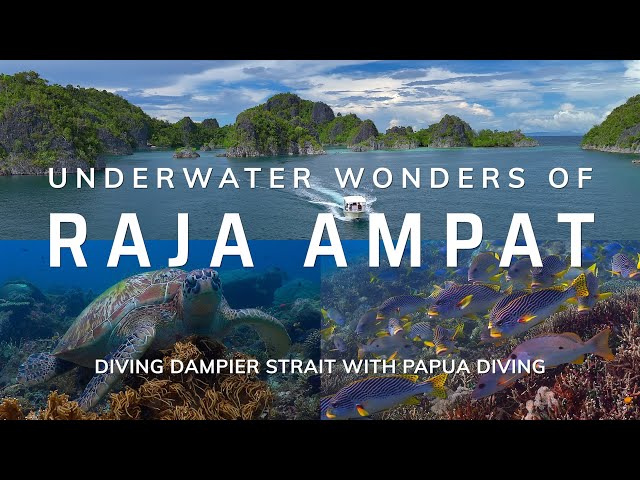 Raja Ampat | Diving Dampier Strait with Papua Diving | 4K HDR | 2024