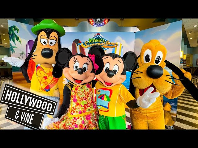 Hollywood & Vine: An Uncrowded Disney World Dining Experience in Hollywood Studios??