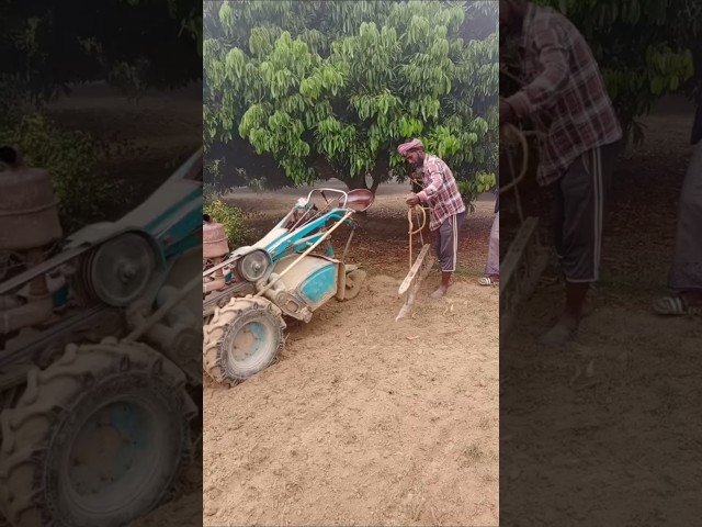 Cultivation of land with power tiller part 3 #farmerbd #agriculture #farming #shorts #powertiller