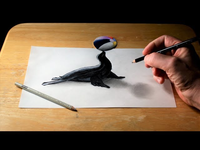 Drawing a seal balancing a ball | How to draw 3D trick art