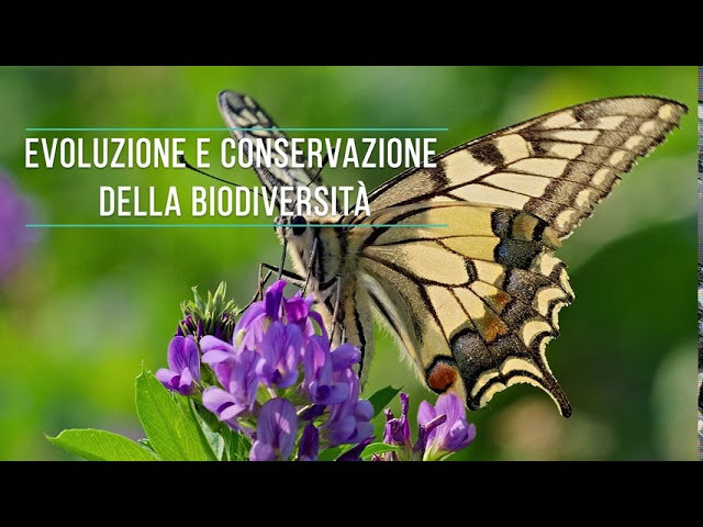 Corso di Laurea Triennale in Scienze Naturali e Ambientali - L32