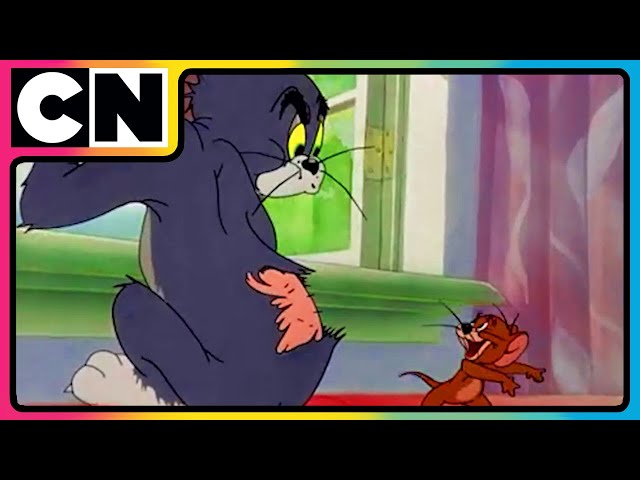 Tom & Jerry 😺🐭 | An Ode to Chaos! | Non-stop Masti 🤩| Funny Chases 😆| Only on Cartoon Network