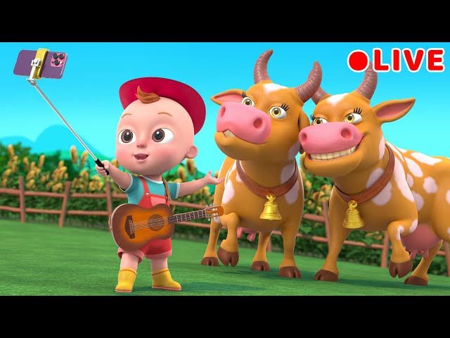 Animal Songs For Kids | Beep Beep Nursery Rhymes & Kids Songs