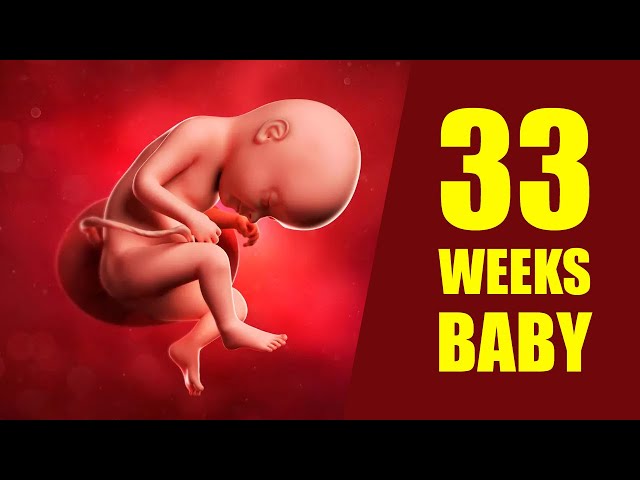 33 Weeks Pregnant Baby Position – Baby Size and Development