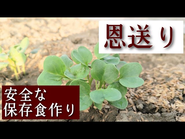 保存食作り/種まき/何気ない日常を大切に