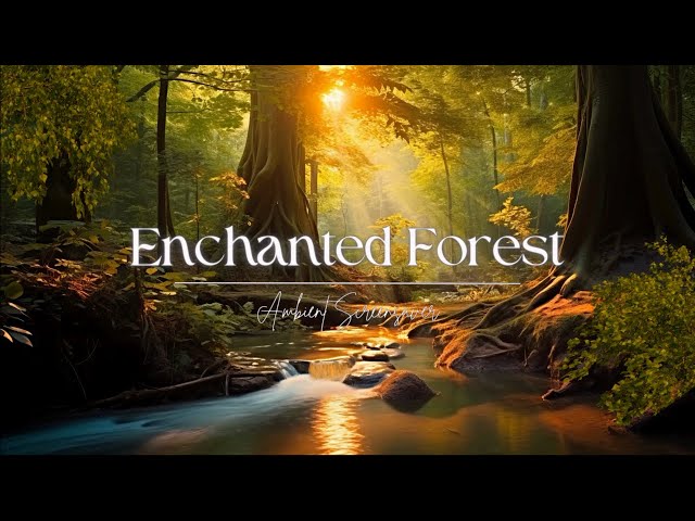 Enchanted Forest Screensaver | Ambient Forest Sounds