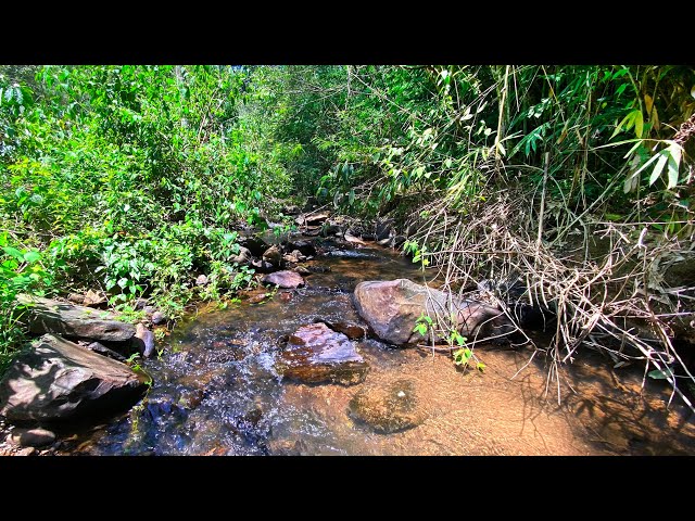 Calming Stream Sounds With Peaceful Rocks Melodies For Instant Relaxation and Sleep Instantly