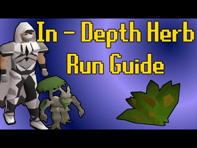 In-Depth Herb Run Guide - OSRS Money Making