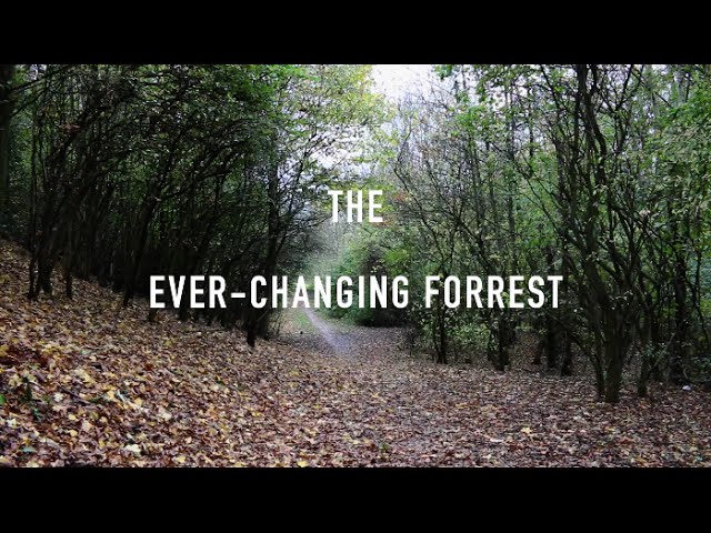 The Ever-Changing Forrest - Short Horror Film (College Project)