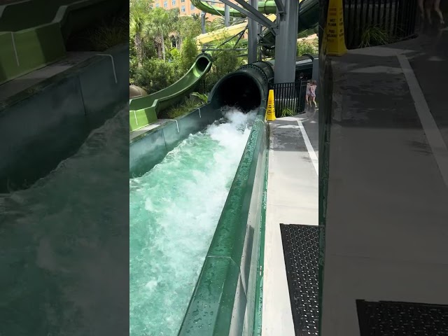 Brit and Scout Water Slide