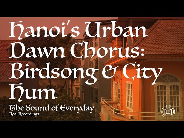 Hanoi's Urban Dawn Chorus: Birdsong & City Hum - Ambient City Sounds