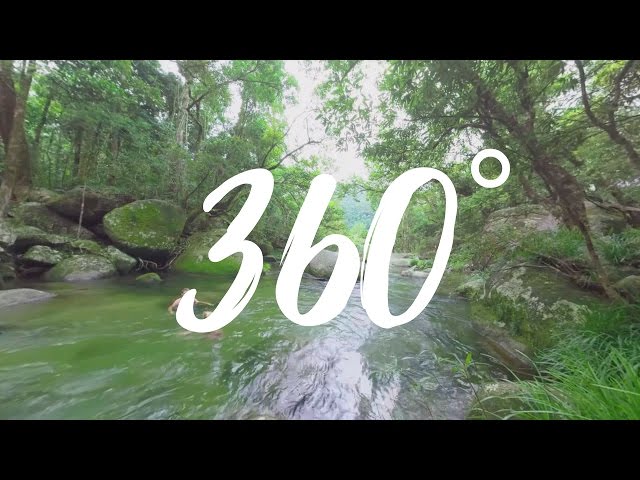 Mossman Gorge in 360°