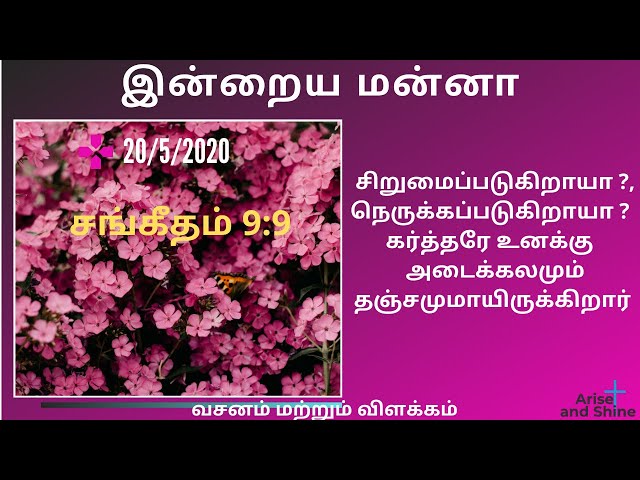 Arise and Shine|Today bible verse and message in Tamil|சங்கீதம் 9:9|Psalms 9:9|May 20|Bible Verse