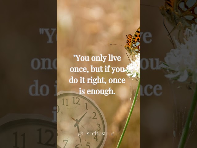 You only live once, but... #quotes #life #inspiration #shorts #wisdom #motivation #subscribe