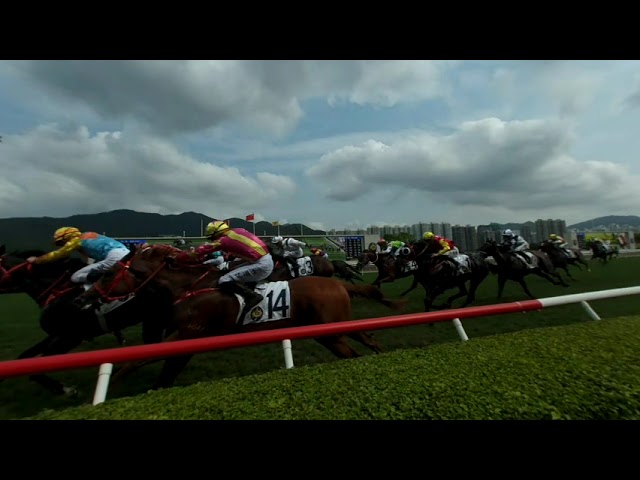 HK horse racing