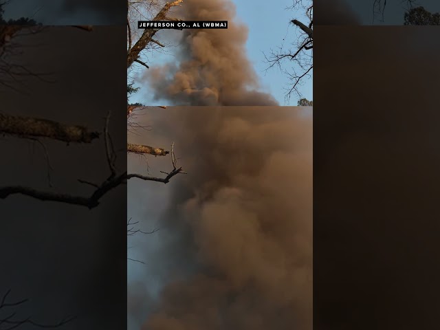 Video of Caseys Crossings Wildfire in Jefferson County #news #wildfire #alabama