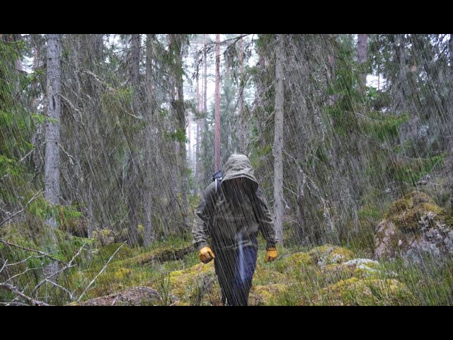 Solo Camping and Bushcraft in the Wilderness