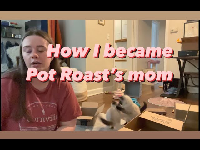 How I became Pot Roast's mom | potroastsmom