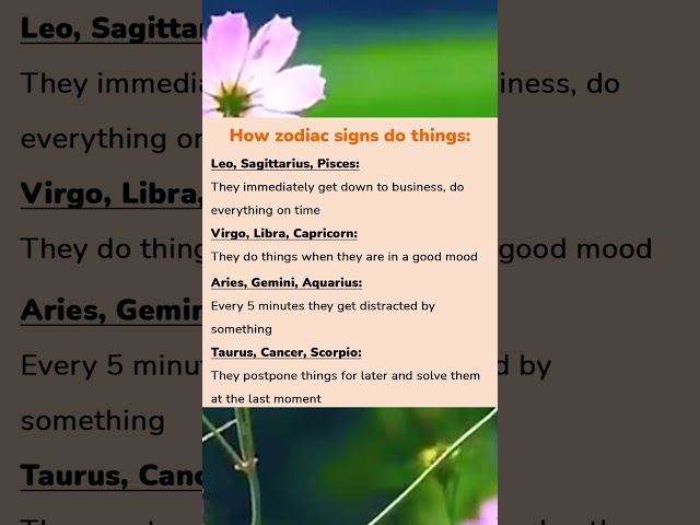 How zodiac signs do things: