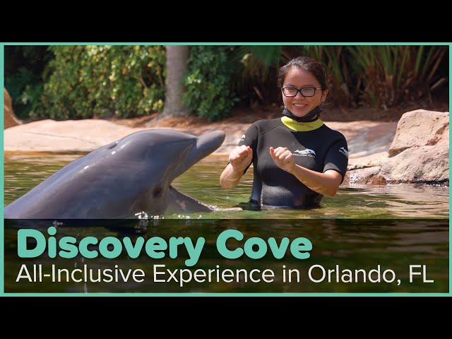 A Day at Discovery Cove Orlando — What’s It Like (And What’s Included)?