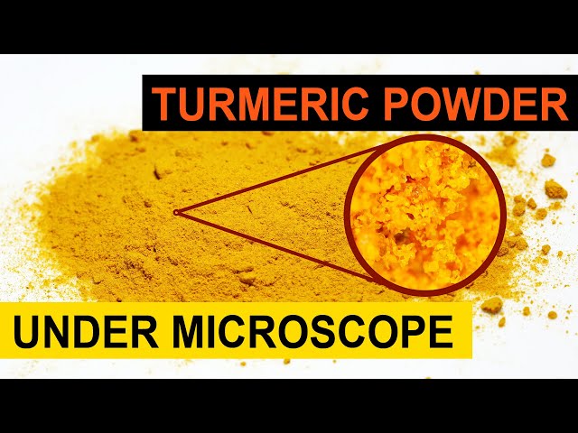 Turmeric Powder (हल्दी पाउडर  or Haldi) Magnified Under Microscope