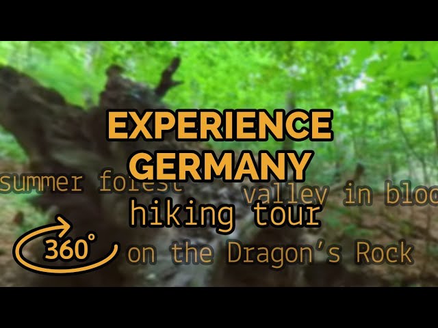 Immersive 360° Experience: Mystical Drachenfels Journey & Majestic Valley Views