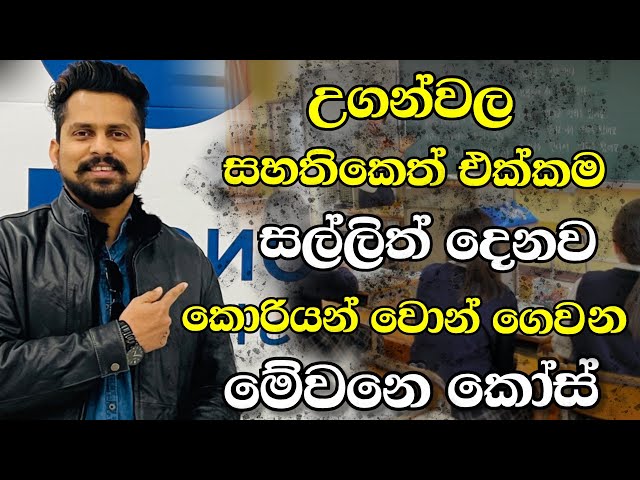 උගන්වල සහතිකෙත් එක්ක කොරියන් වොන් වලින් 80000ක් දෙන කොරියාවේ කෝසස් |courses for foreigner in korea