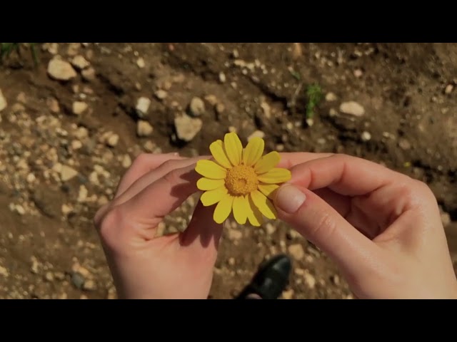 Ill be here for you (Music Video in HDR)