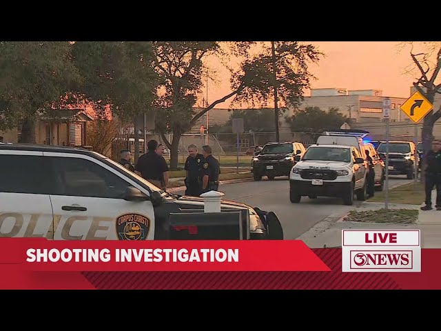 Man and woman shot, killed in a neighborhood behind Ray High School