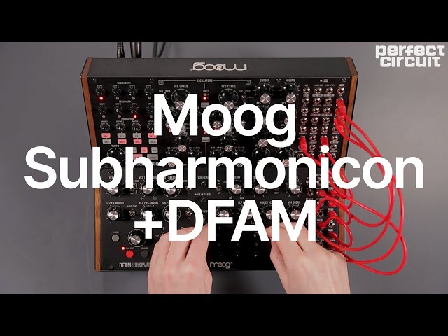 Moog DFAM + Subharmonicon Jam