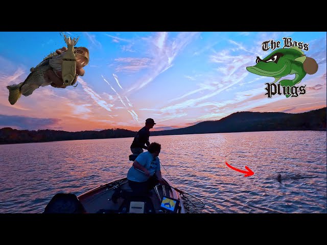 Crankbait Fishing on Table Rock Lake: Catch Big Bass This Season! | Bass Plugs