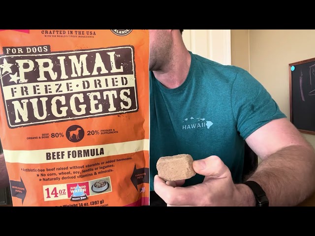 I Gave My Dog Primal Freeze Dried Nuggets for 30 Days - Here's What Happened