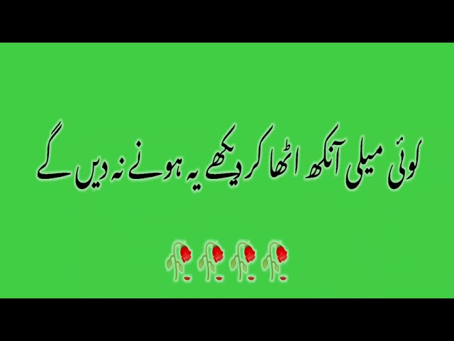 anch Nahin aane denge ham pyare vatan per best Urdu poetry 14 August status green screen video