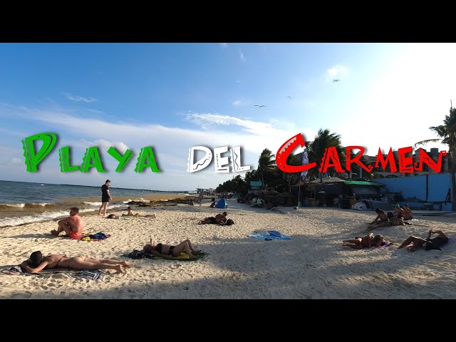 Playa del Carmen Mexico 🇲🇽 | Beach Walk | Riviera Maya