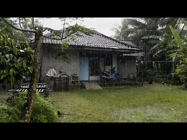 [4K] Refreshing Walks in the Midst of Heavy Rain in a Beautiful Village | Rainy Day In Indonesia