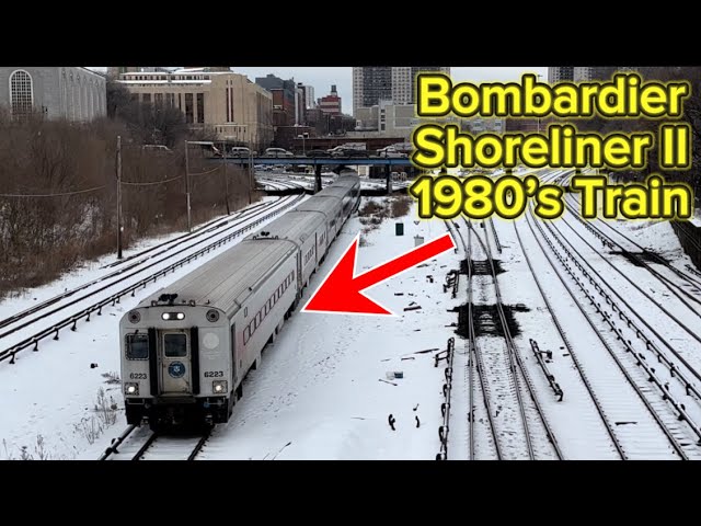 The Best Train Spotting Location in The Bronx! Part 2