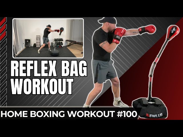 20 Min Beginner Reflex Bag Workout | Cobra Bag vs Punching Ball