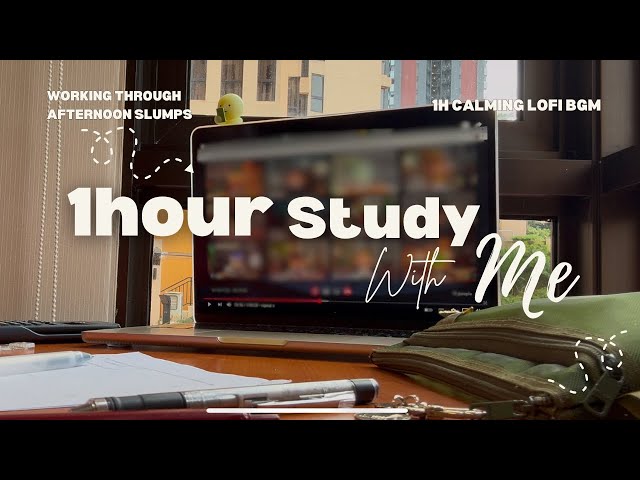 1 Hour Study With Me -  Working through afternoon slumps ☀️🥱 (lofi bgm) | Real time, no break