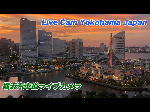 🔴Live Cam Yokohama Japan :横浜汽車道ライブカメラ