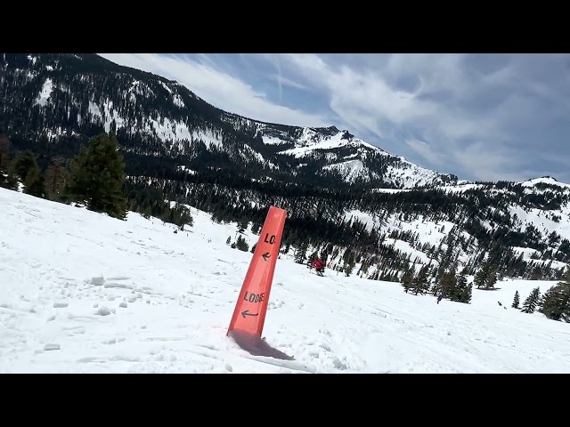 Skiing with Pete in Tahoe at Alpine Meadows down Sherwood on a sunny Saturday April 29, 2023