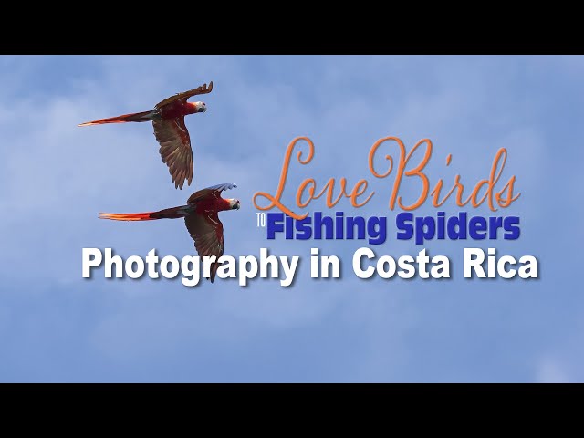 Love Birds to Fishing Spiders: Photography in Costa Rica